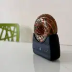 Gaia Wavez Donut on Desk