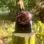 Gaia Wavez Frequency Donut Black & Gold in Forest.webp