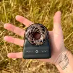 Gaia Wavez Frequency Donut Black and Gold in Hand.webp