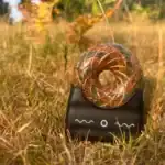 Gaia Wavez Frequency Donut Orange and Green in Nature