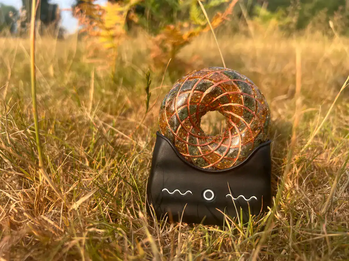 Gaia Wavez Frequency Donut Orange and Green in Nature