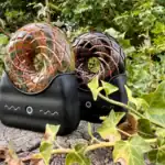 Two Gaia Wavez Frequency Donuts in Nature