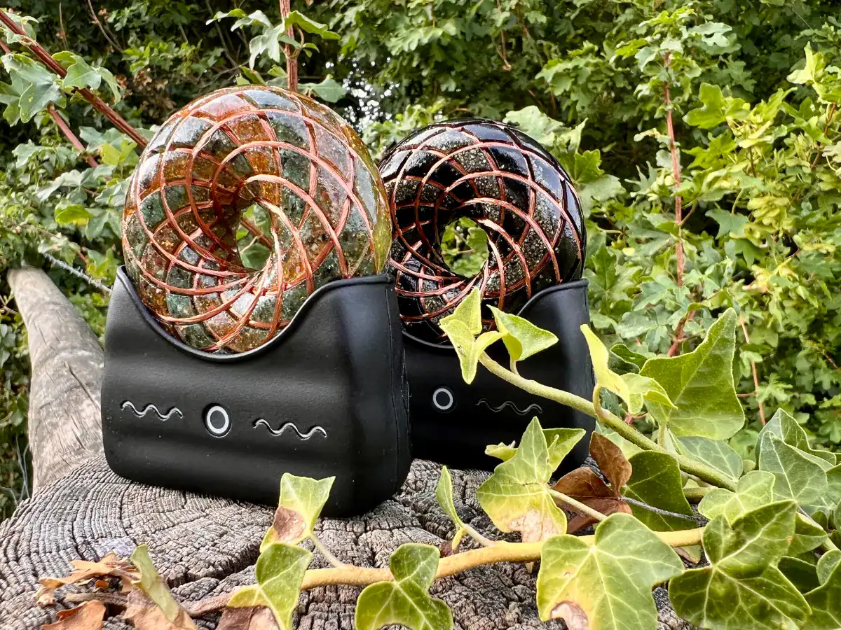 Two Gaia Wavez Frequency Donuts in Nature